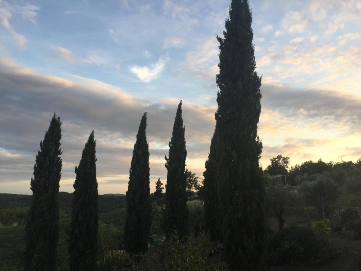 Alloggio per agriturismo Agriturismo Malpensata