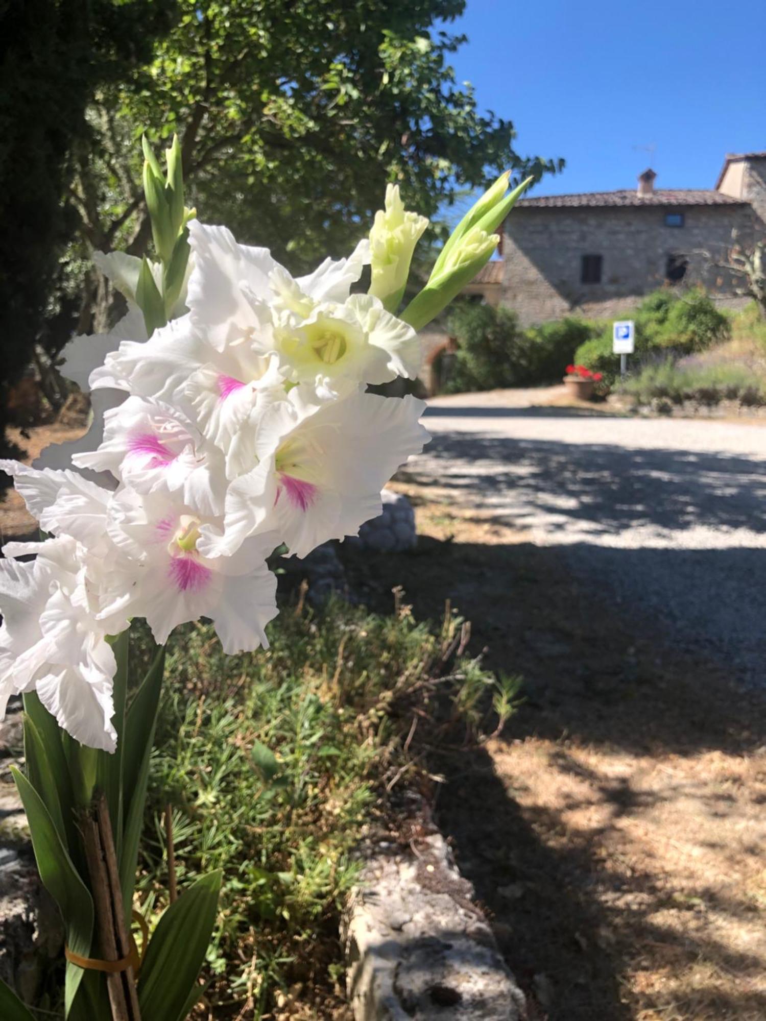 Agriturismo Malpensata * Radda in Chianti