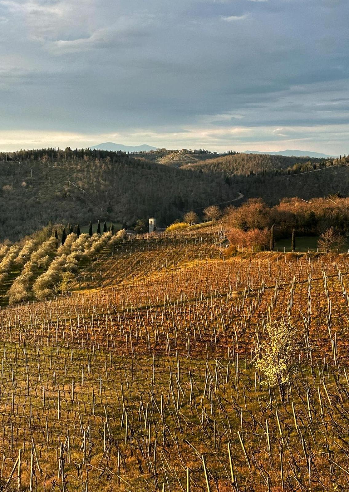 Malpensata Radda in Chianti