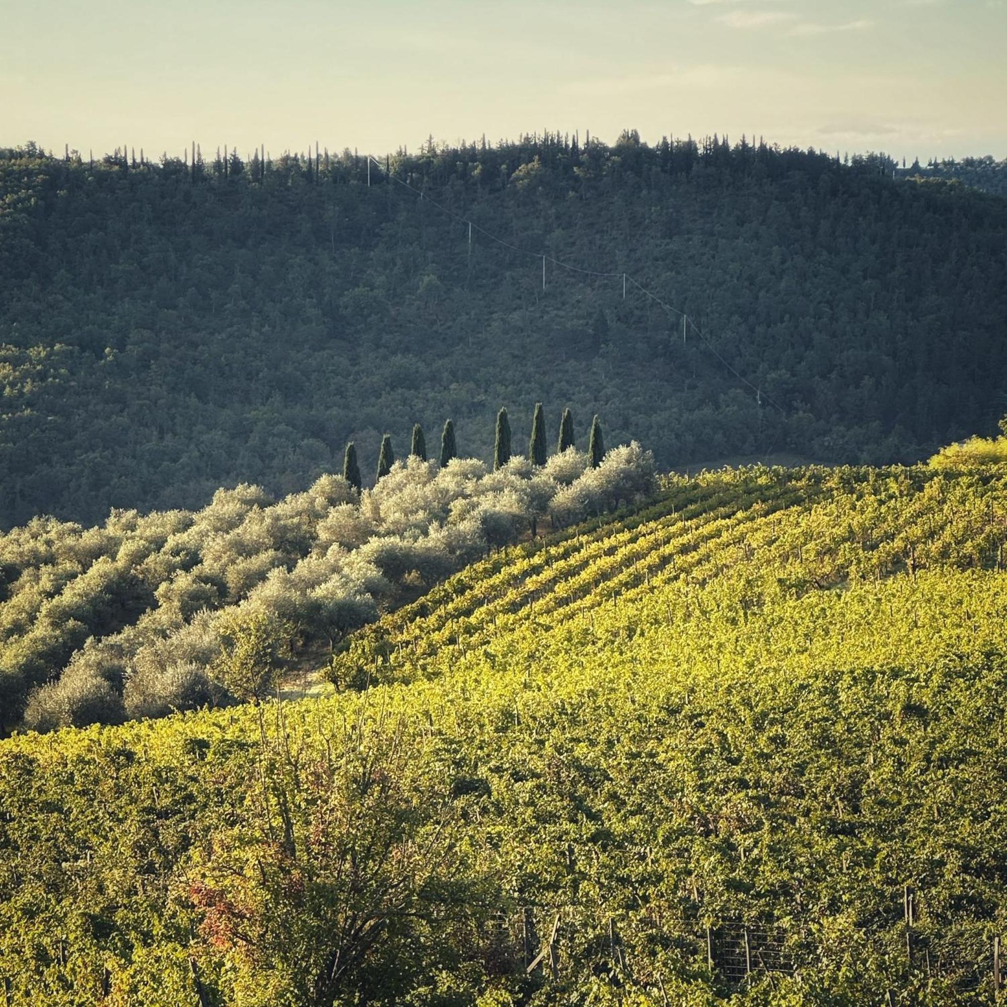 Malpensata Alojamento de Turismo Rural *